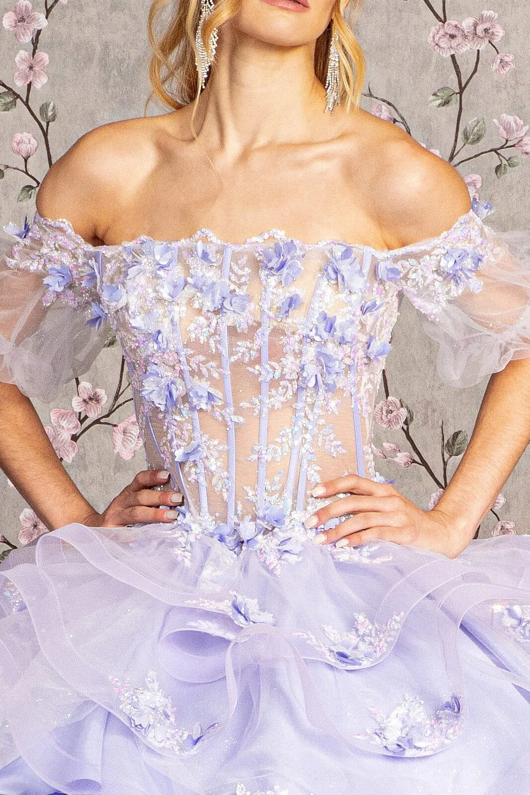 3D Floral Sheer Bodice Ball Gown by Elizabeth K GL3180