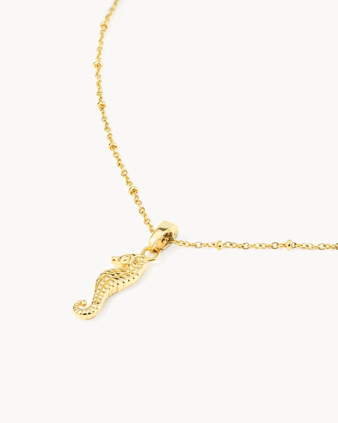 Daughter Seahorse Power Necklace Set, Gold