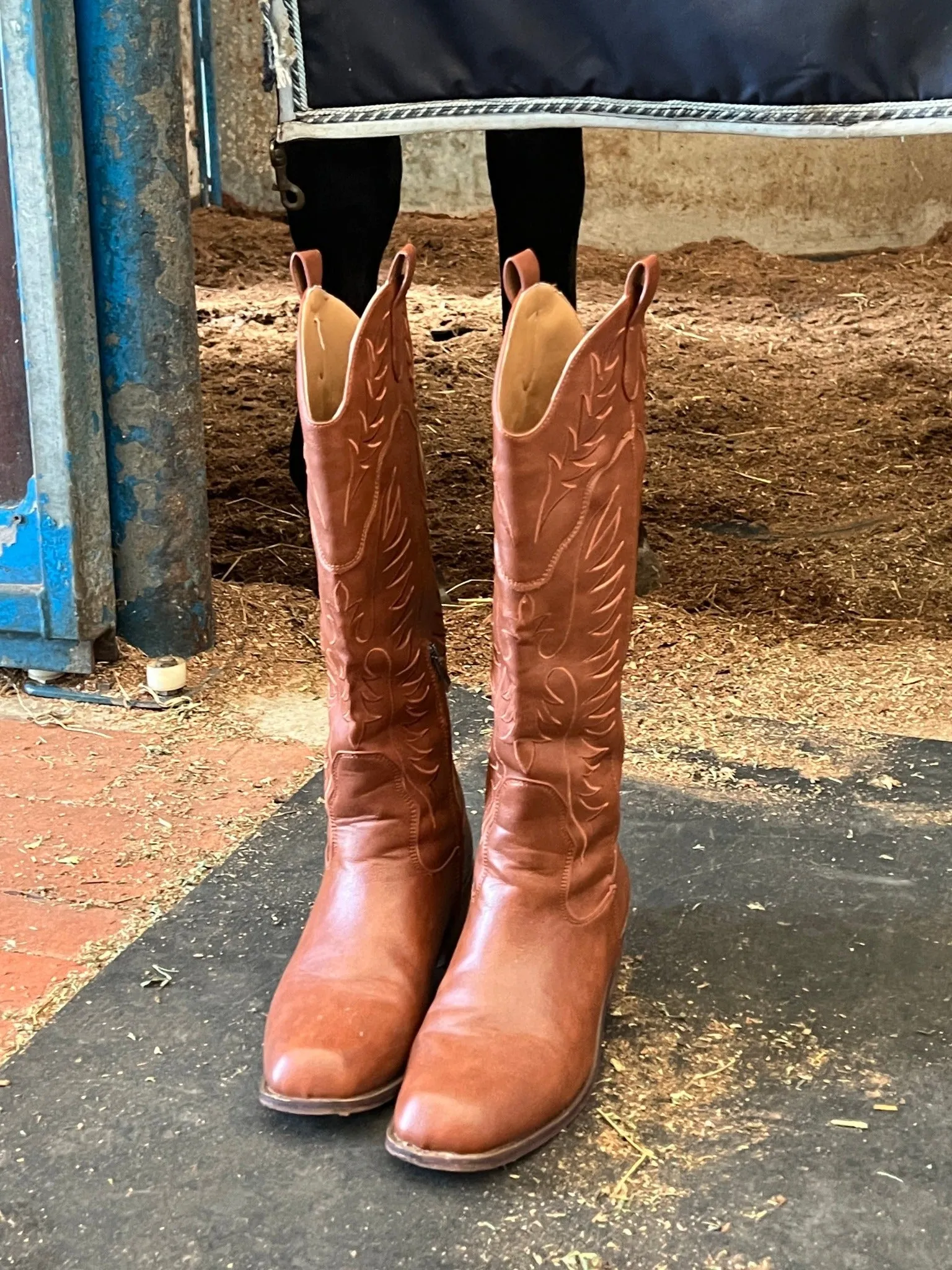 Embroidered Western Boots