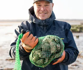 Moon Shoal Oysters from Barnstable, MA